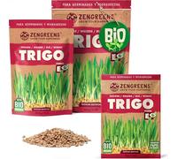 ZenGreens® - Semillas de trigo eco ecológico - Elija entre 10g, 200g y 500g - brotes de trigo eco - germinación de más del 97% - Microgreens
