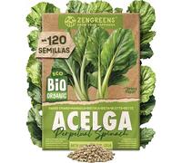 ZenGreens® - Semillas ecológicas de Acelga (Perpetual Spinach) - Semillas de hortalizas fáciles de cultivar en el jardín, el balcón o el huerto urbano - Bleda de Hoja