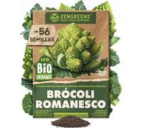 ZenGreens® - Semillas ecológicas de Brócoli Romanesco - Semillas de hortalizas fáciles de cultivar en el jardín, el balcón o el huerto urbano - Col Romanesco