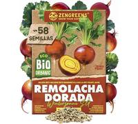 ZenGreens® - Semillas ecológicas de Remolacha Dorada (Wintersonne SG) - Semillas de hortalizas fáciles de cultivar en el jardín, el balcón o el huerto urbano - Betabel Amarillo