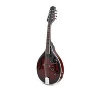 Zengxue 8 Handolin String Mandolin Etnic Etnic Musical Instrument Fingerboard Principiantes mandolina