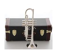 ZENGXUE BB Trumpet Plateado Plateado Instrumentos De Música Profesionales Trompetas Estudiante Incluido Caso Accesorios Para Boquillas Trompeta estudiantil