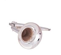 ZENGXUE Rendimiento Profesional Del Instrumento De Trompeta De Tres Llaves En B Plana Trompeta estudiantil (Color : Silver plated)