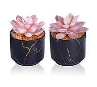 ZENIDA Plantas Artificiales suculentas, Lindas suculentas Falsas en 2 macetas de cerámica Negra, pequeñas Plantas Falsas, decoración de Escritorio para Mujeres y Oficina