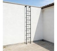 ZENSTYW Escalera De Litera para Interiores,Escalera De Escalada Universa,Escalera De Salida De Techo De Metal,para Ático,Dormitorio,Cubierta(7.2ft)