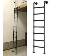 ZENSTYW Escalera De Salida De Techo De Metal,Escalera De Litera para Interiores,Escalera De Escape De Pozo,para Ático,Dormitorio,Cubierta(1.4m/4.6ft)
