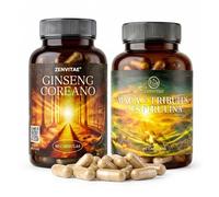 ZENVITAE Rutina Energía Sostenida - Ginseng Coreano + Maca Andina para Energía y Concentración - Rendimiento Activo y Continuado - Suministro para 6 Meses