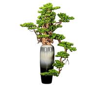 ZENY896V Bonsái Falso Árbol bonsái Artificial Grande for Interiores, simulación Verde, Pino de Bienvenida, árbol, decoración for Sala Estar y Oficina, Falso con jarrón cerámica Decoración(Pequeño)