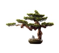 ZENY896V Bonsái Falso Árbol de bonsái Artificial Chino, Planta simulación for Sala Estar, Bienvenida for Interiores, Verde Pino, Maceta cerámica, árbol Falso, Adornos Escritorio Decoración