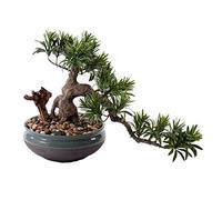 ZENY896V Bonsái Falso Bonsái Artificial Chino, bonsái de Pino Bienvenida, Adorno Vegetal Madera for Oficina, Planta Falsa con Maceta Redonda cerámica Decoración