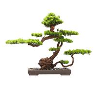 ZENY896V Bonsái Falso Bonsái Artificial de Pino Bienvenida, Planta en Maceta imitación, exhibición Escritorio, bonsái Decorativo simulación 20 Pulgadas Decoración