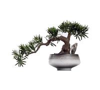 ZENY896V Bonsái Falso Bonsái de imitación Pino Arhat, Saludo, Planta cerámica, decoración bonsái for Escritorio Interior, árbol Falso (no Incluido en la Base) Decoración