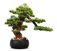ZENY896V Bonsái Falso Entrada China, bonsái de Pino Bienvenida, vegetación Interior, Planta en Maceta Grande, Adorno simulación con cerámica Negra Decoración