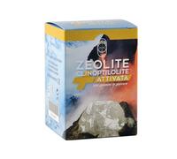 Zeolite Clinoptilolita Activada Polvo 100 g