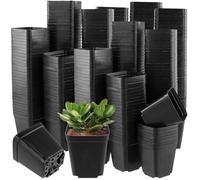 ZEONHAK 400 macetas cuadradas negras de 5,5 cm, maceta cuadrada pequeña para interiores y exteriores