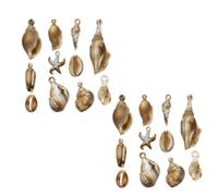 ZEPFJHE 22 colgantes de concha acrílica surtidos para hacer joyas y proyectos creativos, decoraciones artísticas, suministros para collares, talla única, como se describe, como se describe