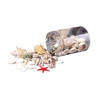 ZEPFJHE Adornos de acuario para decoración de peces, conchas marinas, caracol de mar, coral, varios tamaños de concha de hasta 6 cm