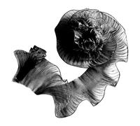 ZEPFJHE Hilo de poliéster de 5 metros para costura, decoración del hogar, suministros de manualidades, diseños fáciles de cortar, tela de poliéster con volantes