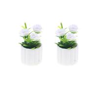 ZEPFJHE Planta artificial en miniatura en maceta para decoración de casa de muñecas, accesorios de exhibición de escena de plantas realistas en maceta en miniatura