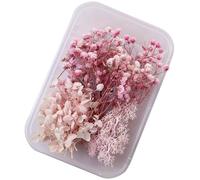 ZEPIQOR Flores Secas Decoracion, Flores secas, Flores preservadas, Flores Preservadas Naturales, Pequeñas Flores Secas, para Manualidades Bricolaje Resina Álbumes de Recortes (B)