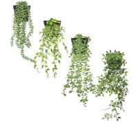 Zequech 4 macetas de plantas colgantes verdes de imitación, datura, eucalipto, guisante, perla, clorophytum comosum, terraza interior y exterior, oficina, decoración de boda, paisaje artificial