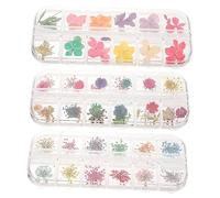 Zerodeko 1 Juego Flores Secas Rellenas De Epoxi Curar Planta Brillantina Artificial Marcapáginas Decoração Casa Flor Seca Epoxi Flor Seca De Bricolaje Flores Secas Naturales 3 Cajas