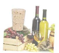 Zerodeko 10 piezas Tapones de Corcho de Madera Natural para Botellas de Vino de Sellado Hermético con Tapón Interior de Goma Compatibles con Botellas Estándar para Hogar Bar