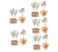 Zerodeko 5 Cajas Oficio del Arte marcapáginas nezeni Cosmetics decoración casa decoração casa Flor Seca Hecha a Mano Material de Flores secas pequeñas Flores secas Flor Artesanal