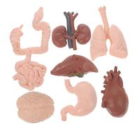 Zerodeko 8 Piezas Órganos Educativo de Anatomía Estudiantes y Prop de Enseñanza de Órganos Simulados Análisis