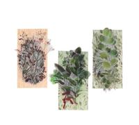 Zerodeko Pegatinas de Bricolaje Vintage Diseño de Plantas y Hojas, 120 Piezas para Decoración de Cuadernos, Álbumes de Fotos y Scrapbooking, Adhesivas y Fáciles de Usar Estilo Aleatorio