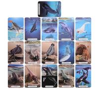 Zerodeko Tarjetas Educativas de Aprendizaje Temáticas del Océano, Juego de Cartas Didácticas Resistentes, Material Sensorial Portátil para Desarrollo Cognitivo y Motricidad Fina,