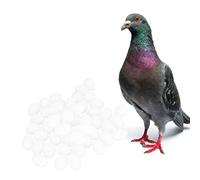 Zerodis Accesorios para Incubadoras, Huevos Simulados para Palomas, Huevos Falsos, De Aves De Corral De Imitación, Suministros De Cría para Incubar, 50 Uds. De Plástico Sólido (Huevo Falso sólido)