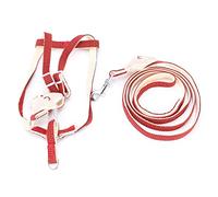 Zerodis Arnés Ajustable de Malla Suave para Gatos con Correa para Gatos Pequeños, Medianos y Grandes, Arnés de Cuerpo de Nailon Transpirable, Fácil Control, Estilo Chaleco, Anillo de (1.5)
