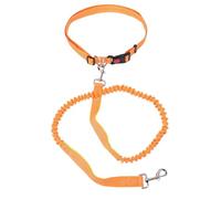 Zerodis Correa para Cuerda de Nailon con Cierre de un, Correa Elástica Reflectante con Doble Elástico Que Absorbe los Golpes y Anillos en D para Caminar Al Aire Libre y Paseos Nocturnos (Naranja