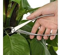 Zerodis Cortador Profesional de Ramas de Bonsái de Borde Redondo, Herramienta de Corte de Perilla de Jardín de Acero Inoxidable, Tijeras de Cizalla de Jardín