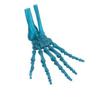 Zerodis Impresión Atemorizada 3D de los Dedos Articulados Mano para Fantasmas para el Disfraz Verde de Péon Green, para la Decoración del Día de Todos los Hábiles