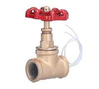 Zerodis Interruptor de Lámpara con Válvula de Parada Steampunk Vintage, Hierro de 1/2 Pulgada con Rojo, Estilo Retro para Decoración del Hogar