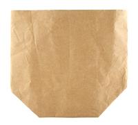 Zerodis Maceta de papel, bolsa de papel de estraza irrompible, reutilizable para plantas suculentas (25 x 25 x 40)