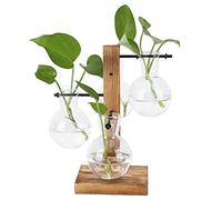 Zerodis Suministros de Cultivo Hidropónico Soporte de Madera Macetero de Vidrio Florero de Bulbo Planta de Escritorio Terrario para Macetero de Bulbos de Aire Hidropónico para Plantas de Interior
