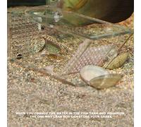 Zerodis Trampa Acrílica para Cangrejos y Peceras de Acuario, Diseño de Válvula Unidireccional Transparente para Fácil Observación y Captura, sin Material para Cangrejos, Camarones