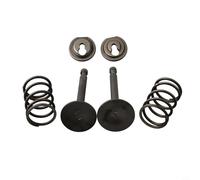 Zeroupshop Kit de retención de resorte con resortes de válvula y pinzas para GX200 168F 170F 5.5-6.5HP motor compatible con generador cortacésped reemplazo de agua OEM 14711-ZF1-000 14721-ZF1-000