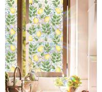 Zeroupshop Película estática para ventana, adhesivo decorativo de PVC para privacidad, resistente al agua y a la decoloración, para ventana del hogar u oficina, 43 x 100 cm