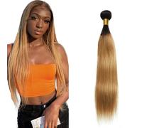 Zeslaerr Human Hair Bundles Sew in Bundles Human Hair Extensiones Cabello Humano Hair 1B27 Ombre Blonde Straight Unprocessed Virgin Low Tangle Minimal Smell For Women 1 Bundle 12 Inch