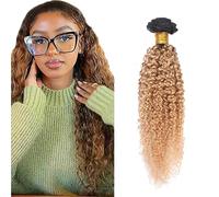 Zeslaerr T1B/27 Ombre Brown Color Curly Wave Peluca de Pelo Humano, Extensiones de Pelo Humano, Doble trama, sin procesar, paquetes de Virgen Suave y Silky para mujeres de 20 pulgadas