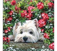 Zeyevan DIY Diamond Painting Perro Por Número Kit, 5D Punto De Cruz Diamante Pintura Safflower Dog Bordado Artes Kit De Punto De Cruz Para Decoración De La Pared Del Hogar 35x35 cm