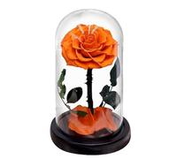 ZEYRU Rosas eternas preservadas en cúpula de Cristal 5 Cabezas de Flores Rosa para Siempre Amor Favor de la Boda Regalos del día de la Madre para Mujeres Novias-Rosa Naranja