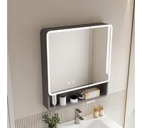 ZFGOJNBH Botiquín con Luces, Estante de Almacenamiento con Espejo de Pared, Espejo de baño con Almacenamiento, Soporte para tocador de baño y Moderno, Estante Colgante de Almacenamiento Abierto antiv