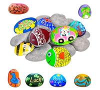 ZFHLZJY 25 Piedras Grandes para Pintar, Piedras De Río Naturales, Piedras Lisas para Pintar, Guijarros De Playa, Piedras De Jardín, Piedras Decorativas para Pintura Colorida, Macetas y Acuarios