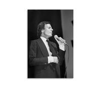 ZFHSFZ Julio Iglesias - Paño de pintura al óleo para decoración de pared, impermeable, para baño, cocina, dormitorio, pósteres desmontables, sin residuos, fácil de limpiar, 30 x 45 cm, estilo sin