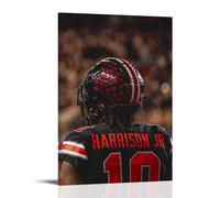 ZFHSFZ Marvin Harrison Jr. - Paño de pintura al óleo para decoración de pared, impermeable, baño, cocina, dormitorio, pósteres desmontables, sin residuos, fácil de limpiar, 60 x 90 cm, estilo marco